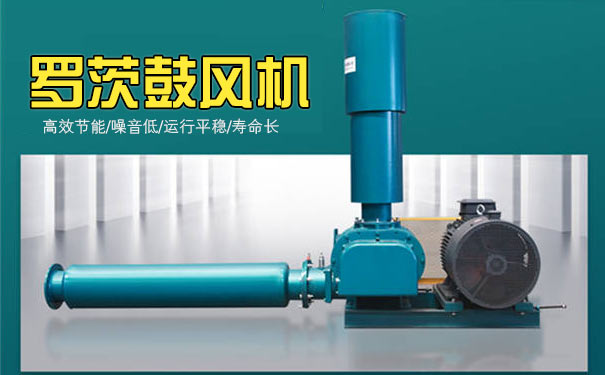 污水處理羅茨風(fēng)機(jī) 污水處理羅茨風(fēng)機(jī)
