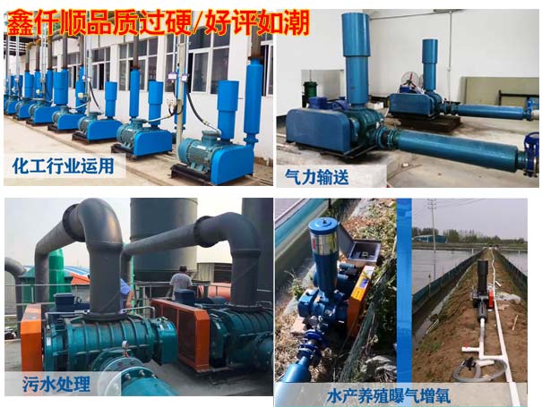 電鍍廠用羅茨風(fēng)機