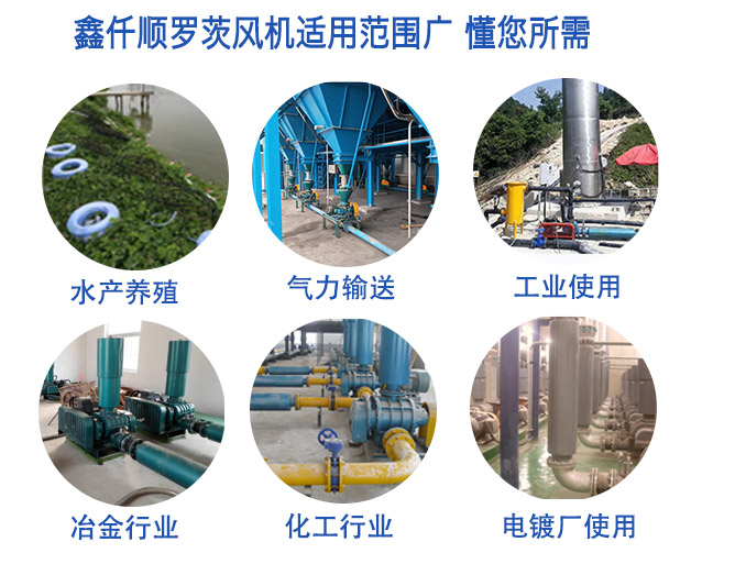 污水處理曝氣羅茨風機適用范圍廣 污水處理曝氣羅茨風機適用范圍廣
