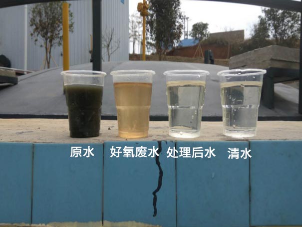 污水曝氣羅茨鼓風機應用案例 污水曝氣羅茨鼓風機應用案例