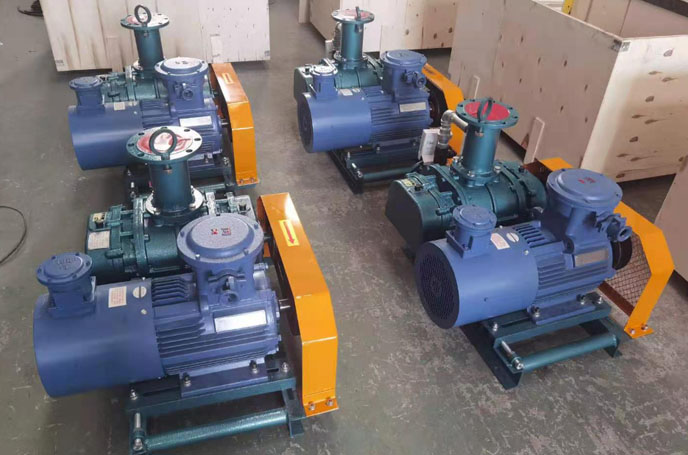 沼氣輸送羅茨風(fēng)機 沼氣輸送羅茨風(fēng)機